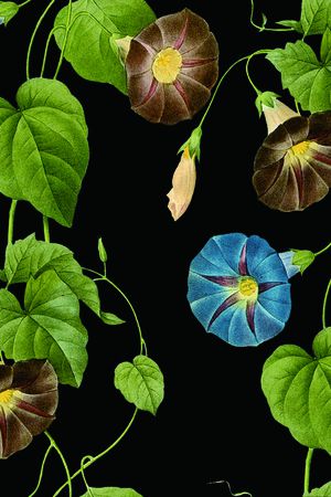 花藤印花华亿平台图片