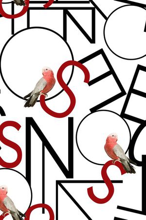 数码印花印花华亿平台图片