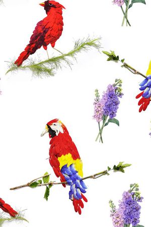 风信子印花华亿平台图片