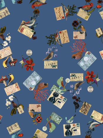 470334- 给你的99封信 