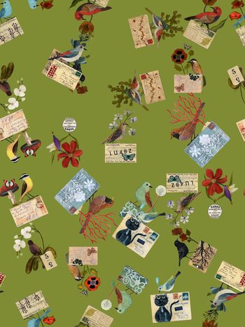 470335- 给你的99封信 