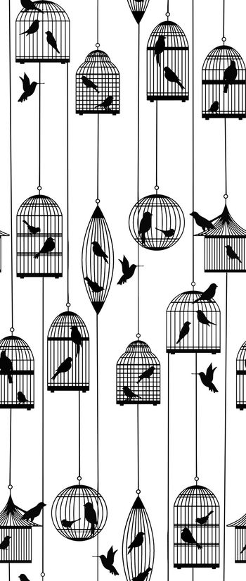 470344- 时尚复古鸟笼华亿平台 