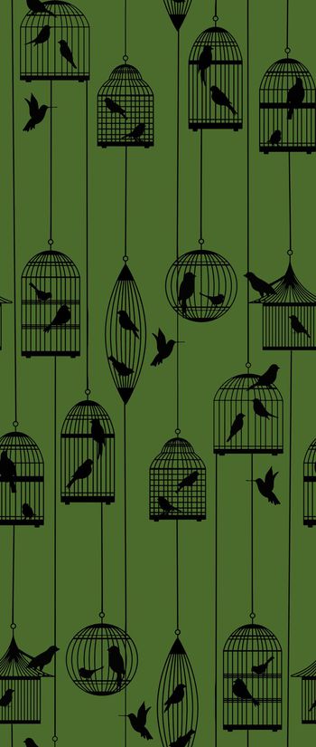 470345- 时尚复古鸟笼华亿平台 