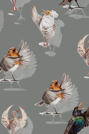 插画印花华亿平台图片