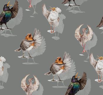 470352- 时尚小鸟仙鹤组合华亿平台 