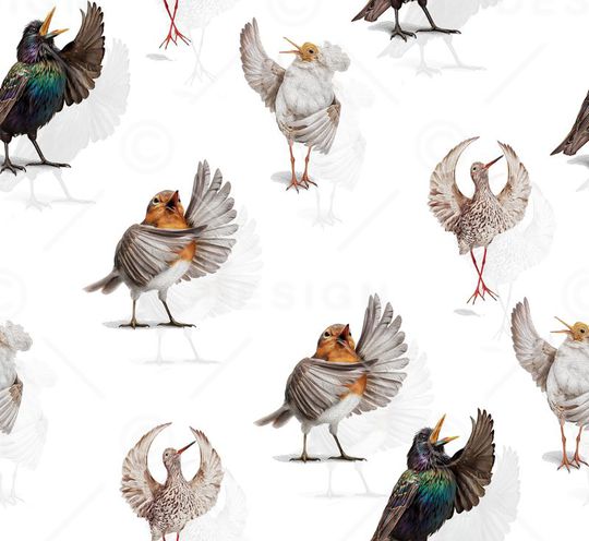 时尚印花华亿平台图片