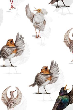 时尚印花华亿平台图片