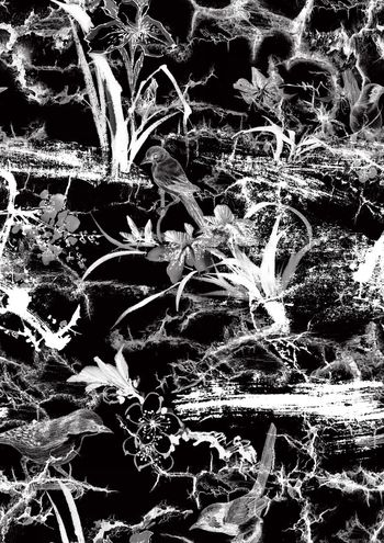 470377-中国风水墨花卉手绘鸟青花瓷靛蓝土石