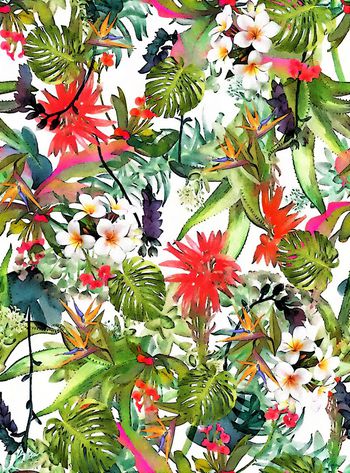 470432-手绘效果热带植物花卉天堂鸟龟背叶组