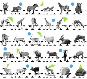 470481-几何图形野生动物组合男装衬衣T-S