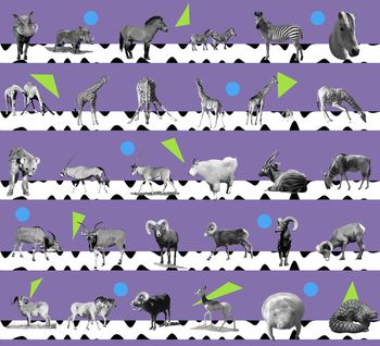 470482-几何图形野生动物组合男装衬衣T-S