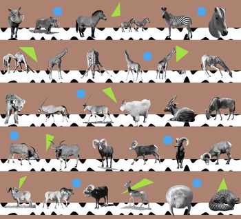 470483-几何图形野生动物组合男装衬衣T-S