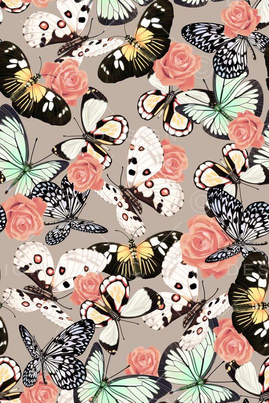 蝴蝶印花华亿平台图片