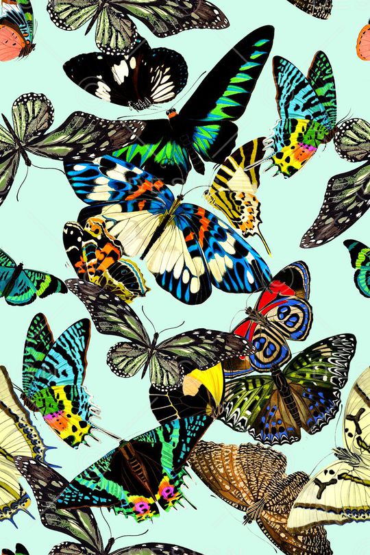 时尚印花华亿平台图片