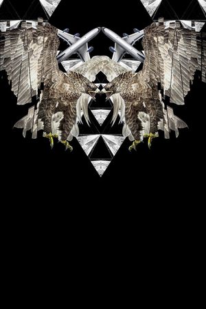 大牌老鹰印花华亿平台图片