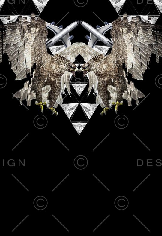 大牌老鹰印花华亿平台图片