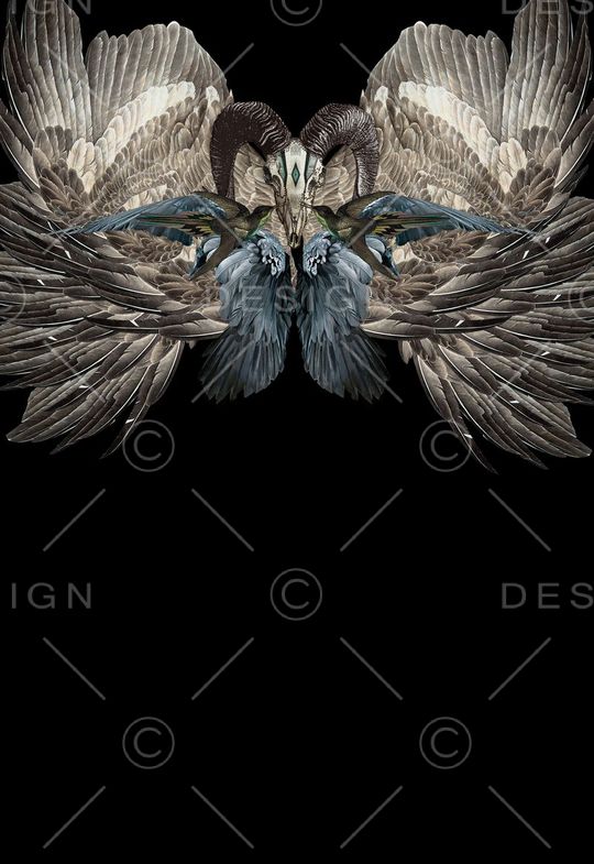 定位羽毛印花华亿平台图片