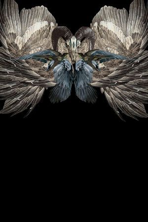 定位羽毛印花华亿平台图片