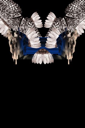 定位羽毛印花华亿平台图片