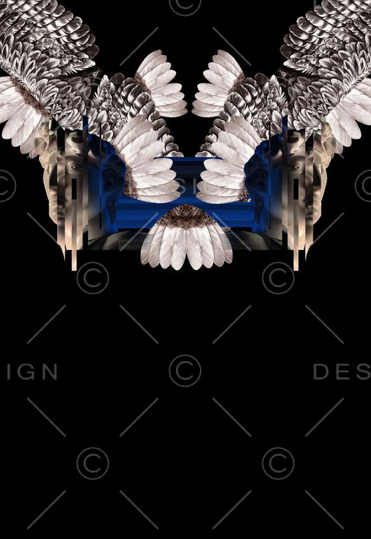 定位羽毛印花华亿平台图片