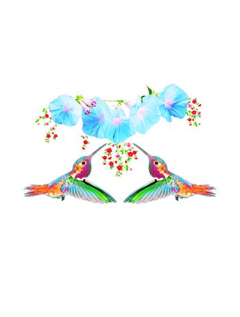 470790-牵牛花小鸟T恤定位华亿平台