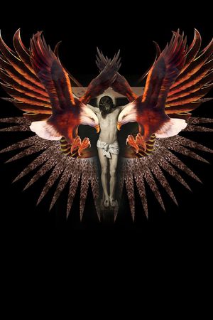 定位老鹰印花华亿平台图片