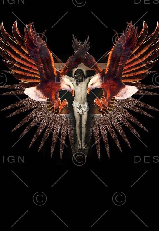 定位老鹰印花华亿平台图片