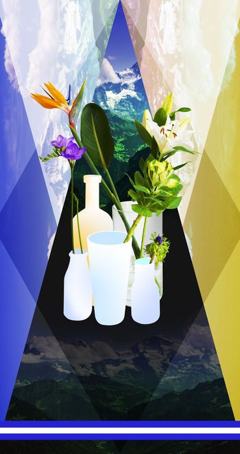 470861-定位植物风景组合