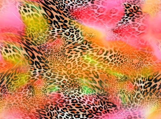 豹纹印花华亿平台图片