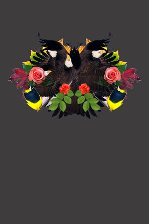 Givenchy印花华亿平台图片