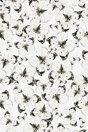 蝴蝶印花华亿平台图片