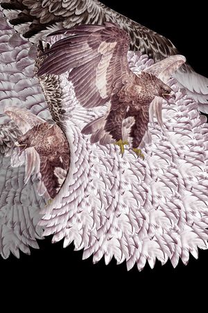 动物纹印花华亿平台图片