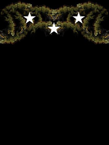 470976-纪梵希切割变色龙德罗斯效益五角星