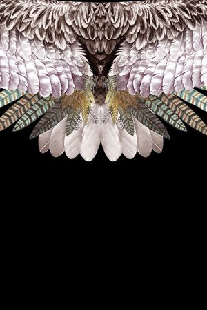 定位羽毛印花华亿平台图片