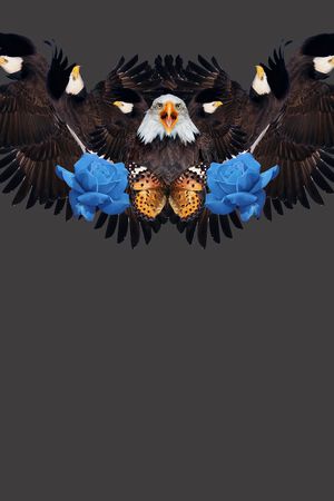 t恤华亿平台印花华亿平台图片