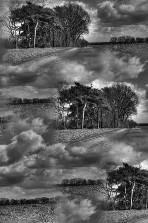 复古印花华亿平台图片