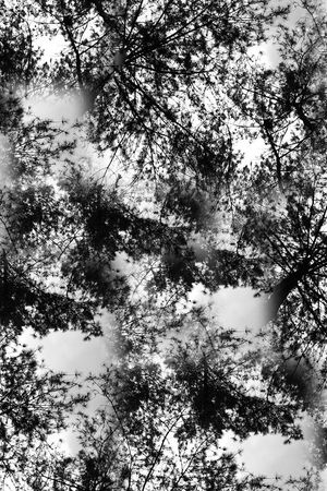 复古印花华亿平台图片