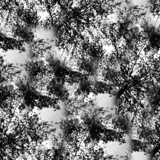 复古印花华亿平台图片