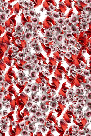 鱼印花华亿平台图片