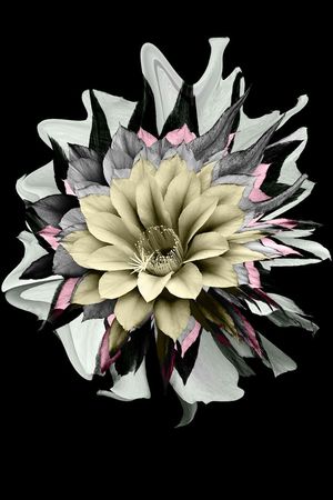 时尚印花华亿平台图片