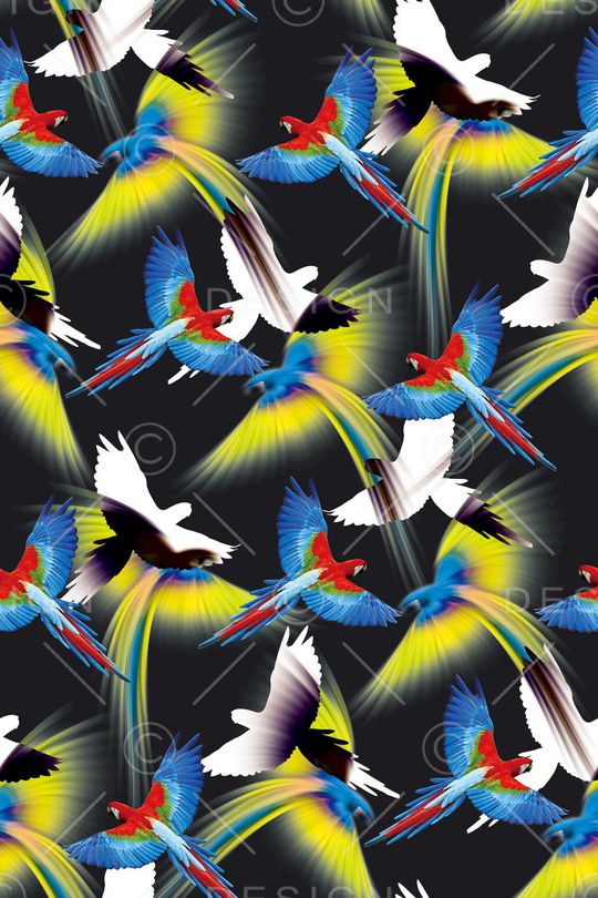 小鸟印花华亿平台图片