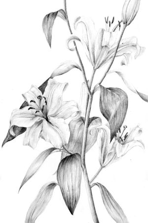 Placed floral印花华亿平台图片