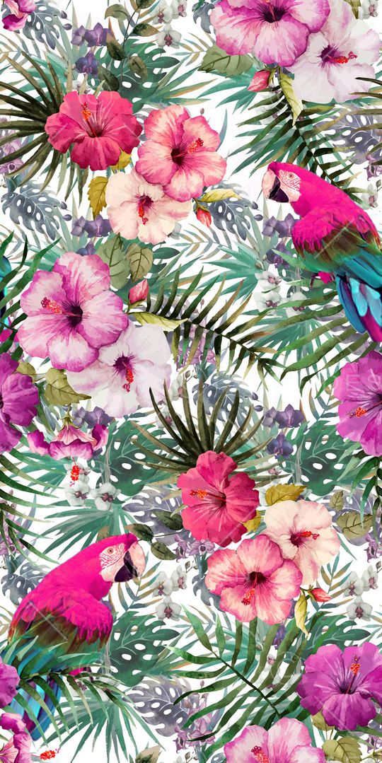 热带印花华亿平台图片