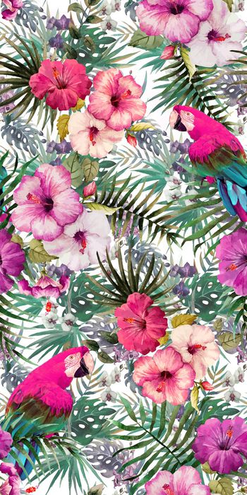 471305-热带  植物 树叶 花卉 鹦鹉 组