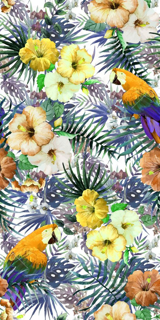 热带印花华亿平台图片