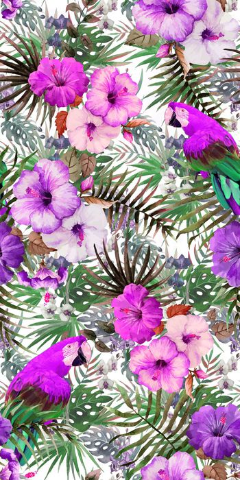 471307-热带  植物 树叶 花卉 鹦鹉 组