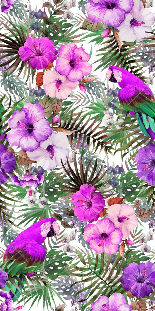 热带印花华亿平台图片