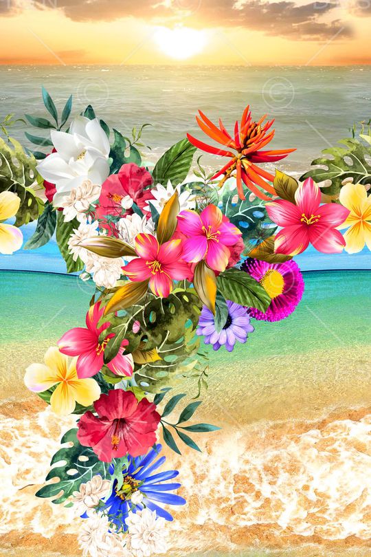 热带印花华亿平台图片