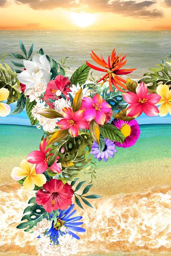 471311-热带 休闲 海景照片 花卉 花卉 