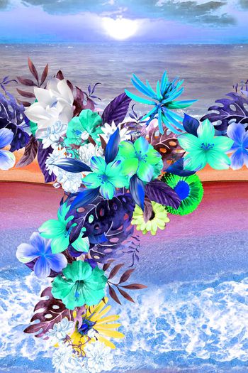 471312-热带 休闲 海景照片 花卉 花卉 